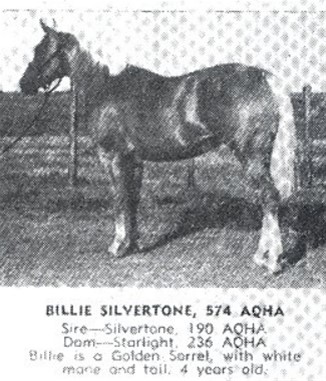 Billie Silvertone